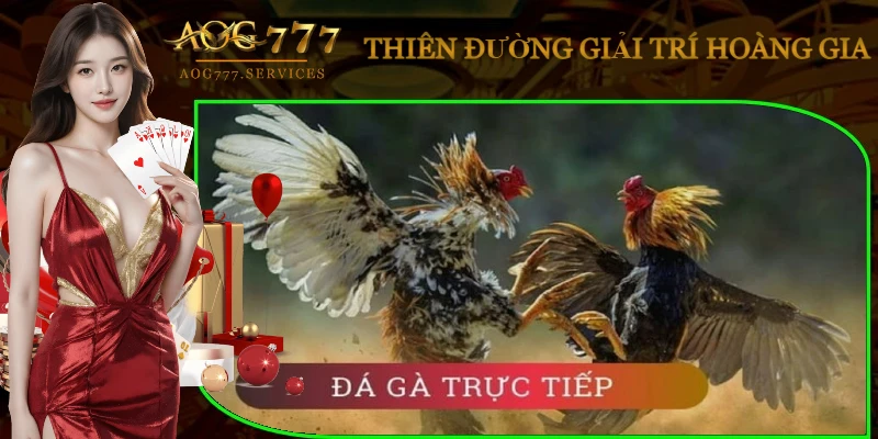 da-ga-cam-67-truc-tiep